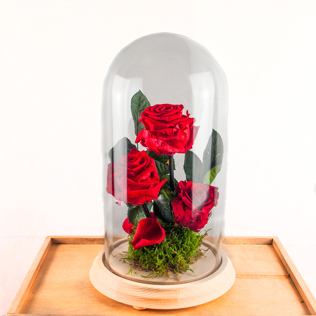 Rosa roja eterna en cúpula de de cristal y madera. Envíos en Madrid.