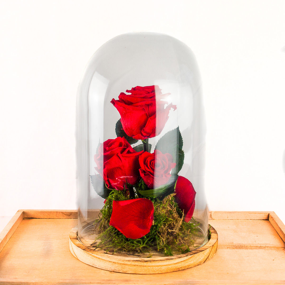 Trío de Rosas rojas eternas | Araflor